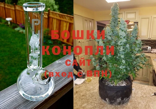 эйфоретик Нея