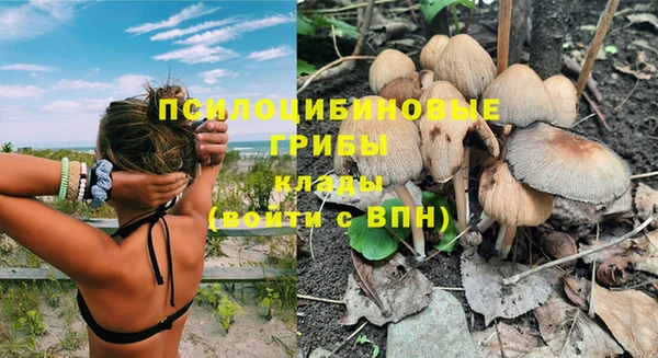 мдпв Нефтегорск